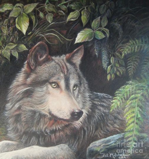 Animal and Pet portrait commissions.