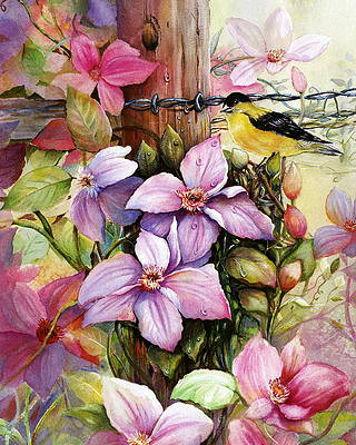 Clematis and Goldfinch